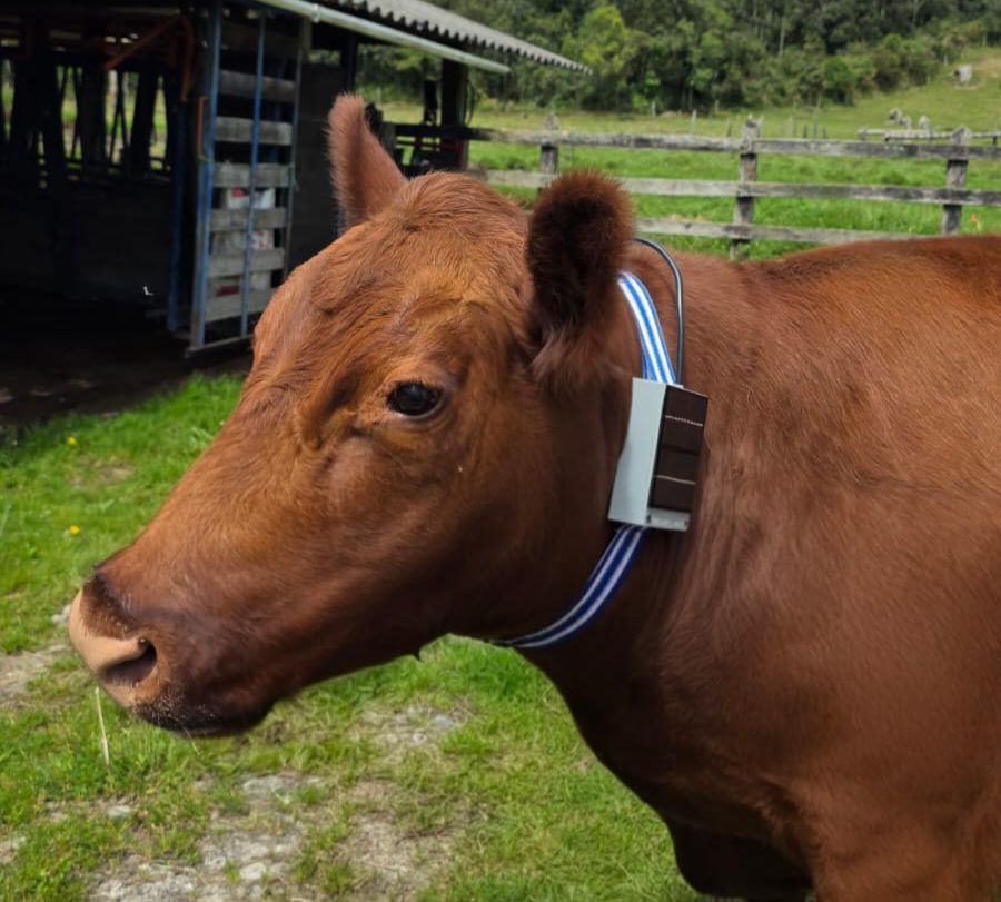 Monitoreo IoT en ganadería y agricultura de precisión